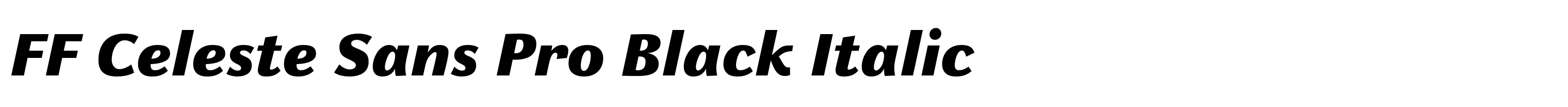 FF Celeste Sans Pro Black Italic